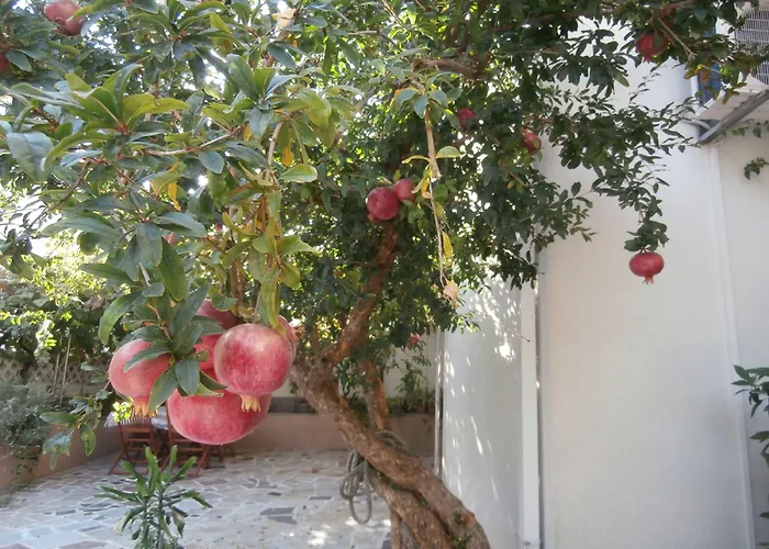 בית הארחה Song 4*