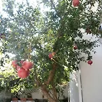 בית הארחה Song 4*
