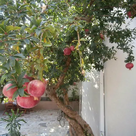 Affittacamere Song Spalato